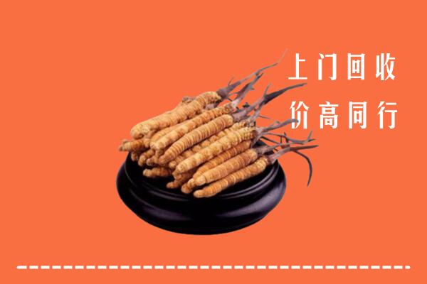 高价求购：华蓥回收散虫草
