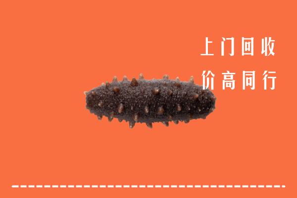高价求购：华蓥回收海参