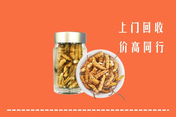 华蓥回收冬虫夏草