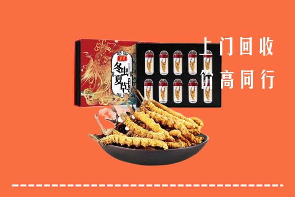 华蓥回收虫草